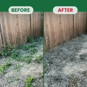 Kill Bamboo, Stumps & Invasive Weeds for Good – LIMETOW® Root Killer Powder